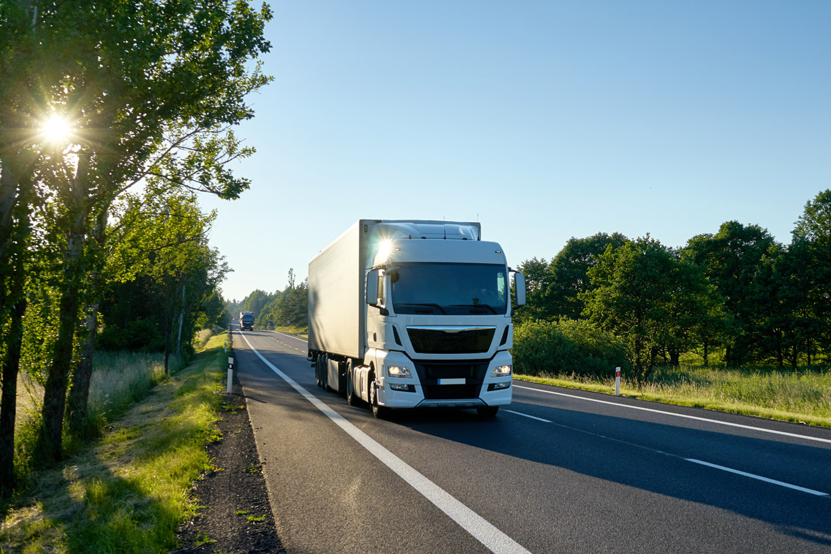 Rimula Shell Lubricants