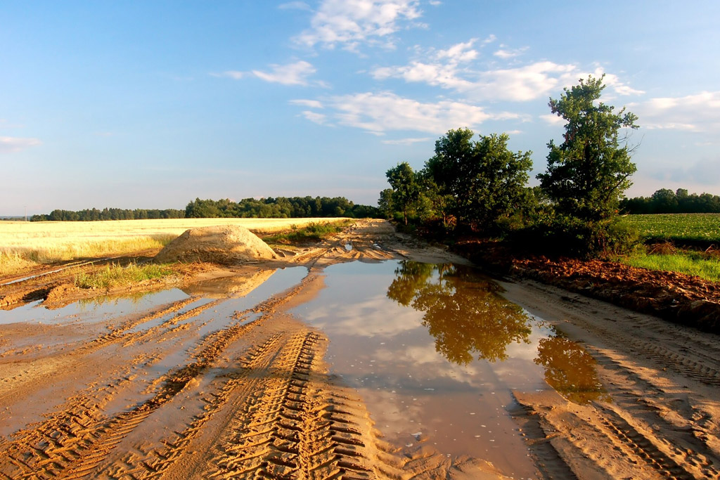 Shell Lubricantes Agricultura condiciones cambiantes